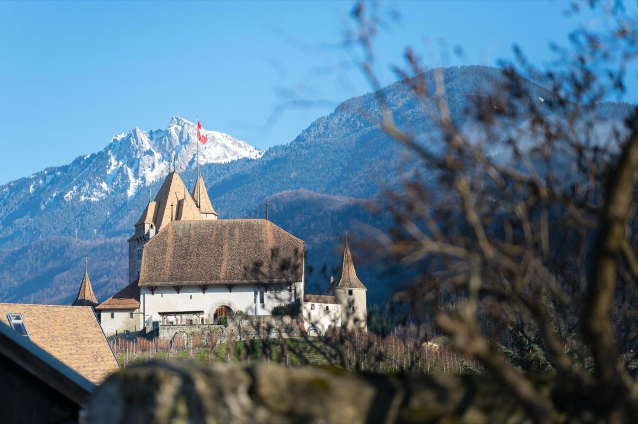 Nonanteneuf Appart Hotel Aigle - Contactless Check-In Eksteriør billede